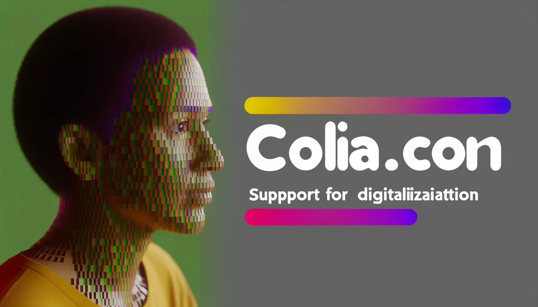 VHCI prezintă COLIA.COM, platformă de sprijin pentru digitalizarea afacerilor